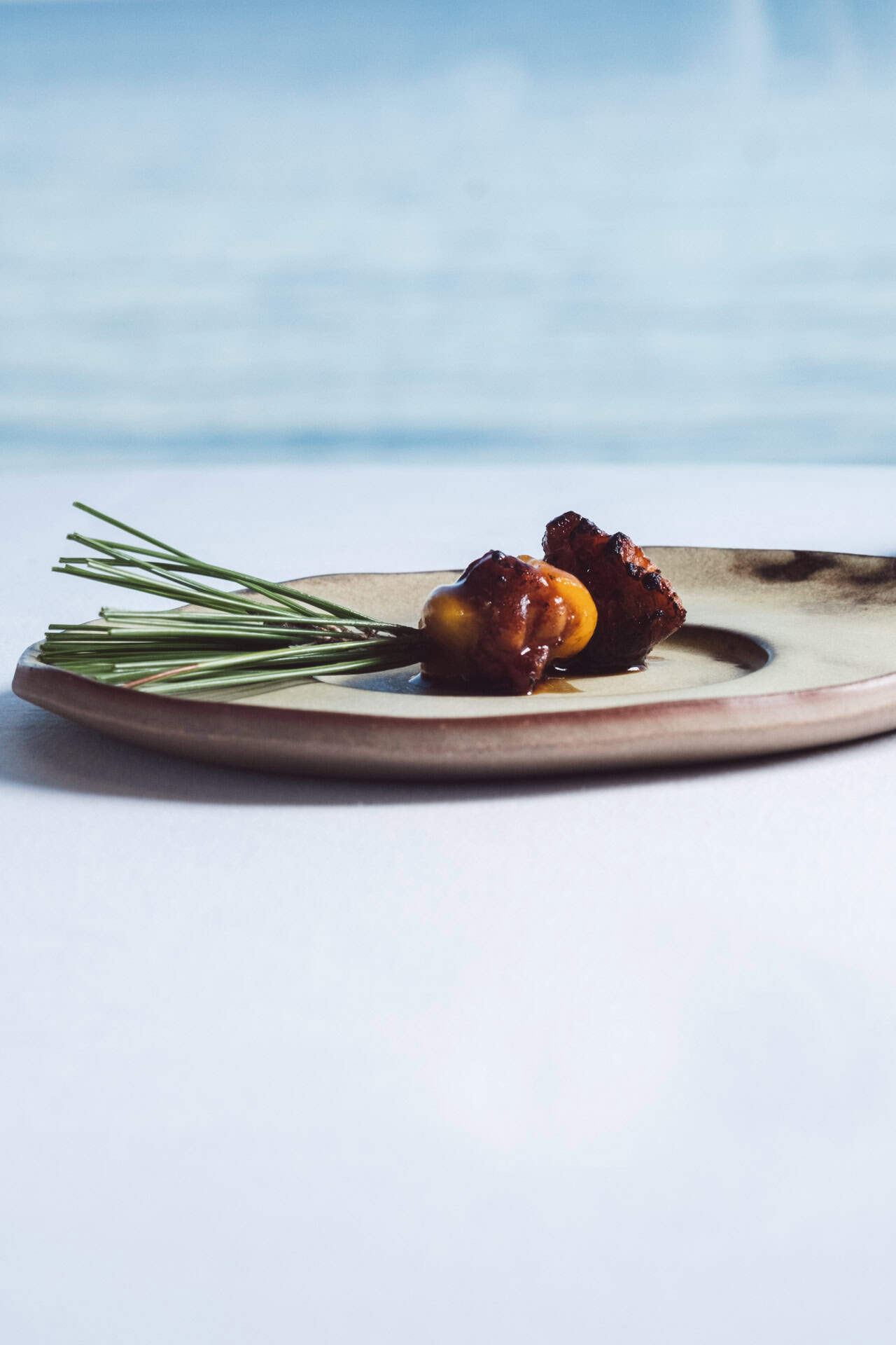 resturante gastronomico Abiss Calpe Lenin Busquet Guia Repsol 031